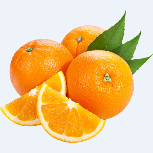 新鲜大号甜橙子 4个